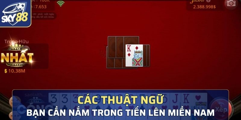 Các thuật ngữ quan trọng mà bạn cần nắm trong tiến lên miền nam