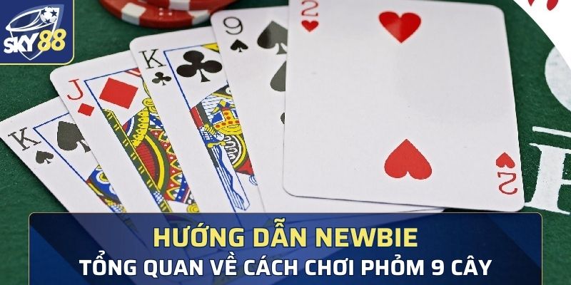 Hướng dẫn newbie tổng quan về cách chơi phỏm 9 cây