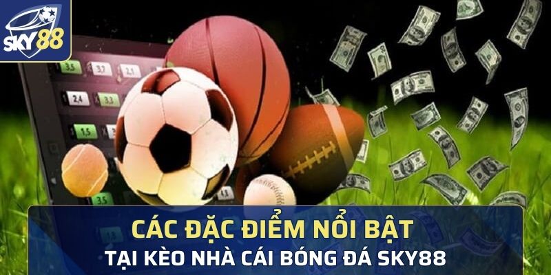 Các đặc điểm nổi bật tại kèo nhà cái bóng đá Sky88