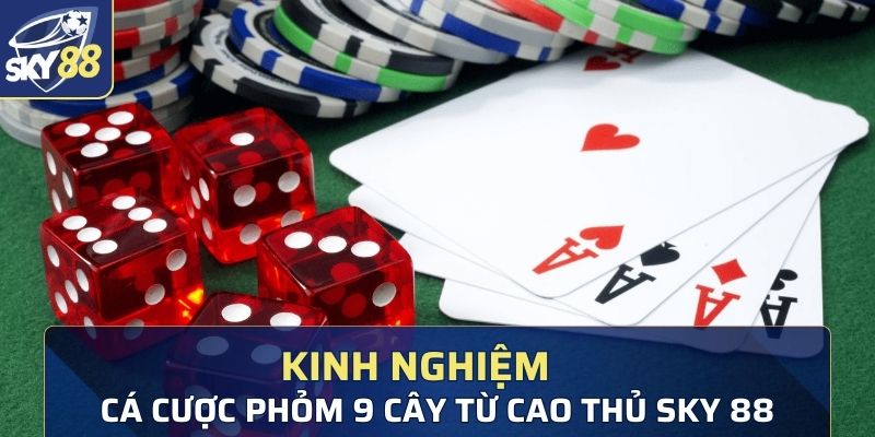 Kinh nghiệm cá cược Phỏm 9 cây đến từ cao thủ Sky 88