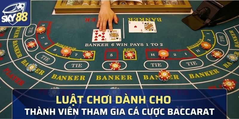 Luật chơi dành cho thành viên tham gia cá cược Baccarat