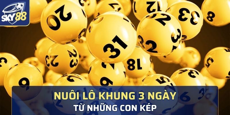 Nuôi lô khung 3 ngày từ những con kép