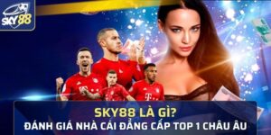 người chơi về nhà cái Sky88 là gì