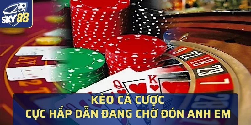 Vô vàn kèo cá cược hấp dẫn đang chờ đón cược thủ